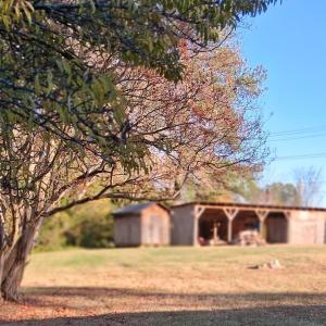 Photo #8 of 1060 Avondale Drive, Halifax, VA 2.4 acres