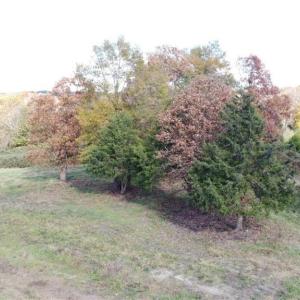 Photo #37 of 5022 Abilene Rd, Farmville, VA 2.3 acres