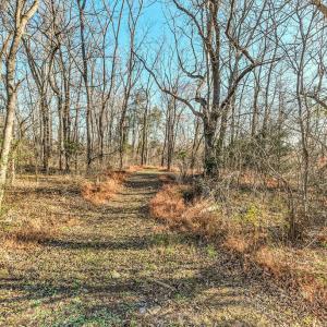 Photo #41 of 1392 Sports Lake Road, Columbia, VA 7.3 acres