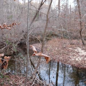 Photo #50 of 128 Quarry, Cumberland, VA 5.6 acres