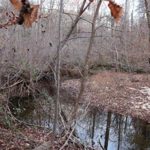 Photo #49 of 128 Quarry, Cumberland, VA 5.6 acres