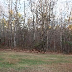 Photo #52 of 128 Quarry, Cumberland, VA 5.6 acres