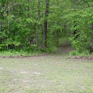 Photo #52 of 128 Quarry, Cumberland, VA 5.6 acres