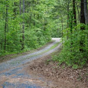 Photo #53 of 128 Quarry, Cumberland, VA 5.6 acres