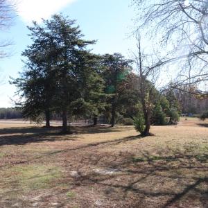Photo #23 of 14504 Farmville Road, Meherrin, VA 3.2 acres