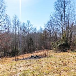 Photo #50 of 2371 Cedar Bend Road, Appomattox, VA 14.4 acres