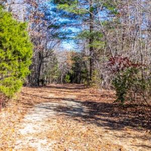 Photo #54 of 2371 Cedar Bend Road, Appomattox, VA 14.4 acres