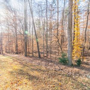 Photo #31 of 244 Ridgeway Dr, Farmville, VA 3.1 acres