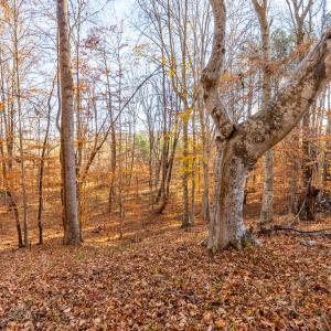 Photo #40 of 244 Ridgeway Dr, Farmville, VA 3.1 acres