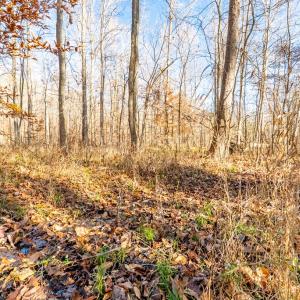 Photo #41 of 244 Ridgeway Dr, Farmville, VA 3.1 acres