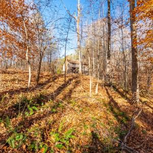 Photo #42 of 244 Ridgeway Dr, Farmville, VA 3.1 acres