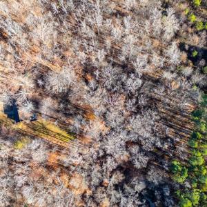 Photo #43 of 244 Ridgeway Dr, Farmville, VA 3.1 acres