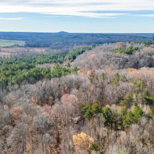 Photo #46 of 244 Ridgeway Dr, Farmville, VA 3.1 acres