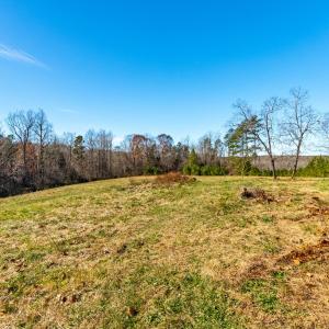 Photo #38 of 299 Arvian, Meherrin, VA 10.9 acres