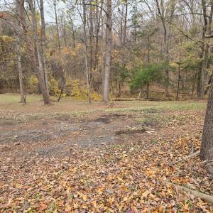 Photo #2 of 1700 Ward St., Farmville, VA 12.3 acres