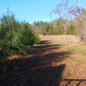 Photo #4 of 12232 Farmville Road, Meherrin, VA 3.0 acres