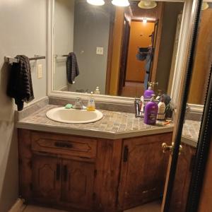 Photo #16 of 12232 Farmville Road, Meherrin, VA 3.0 acres