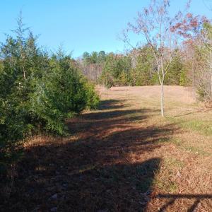 Photo #28 of 12232 Farmville Road, Meherrin, VA 3.0 acres
