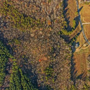 Photo #46 of 4621 MEHERRIN RD, Meherrin, VA 6.0 acres