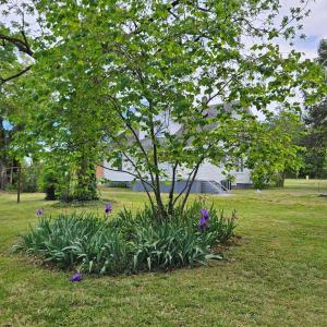 Photo #4 of 74 Conner St, Dillwyn, VA 0.4 acres