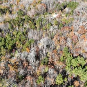 Photo #10 of 1101 Pineview Lane, Scottsburg, VA 17.2 acres