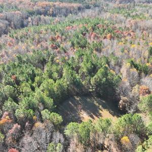 Photo #11 of 1101 Pineview Lane, Scottsburg, VA 17.2 acres