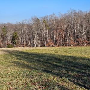 Photo #18 of 3814 S Constitution, Dillwyn, VA 43.8 acres