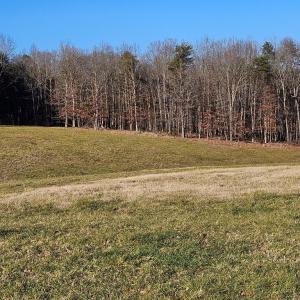 Photo #19 of 3814 S Constitution, Dillwyn, VA 43.8 acres