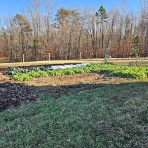 Photo #20 of 3814 S Constitution, Dillwyn, VA 43.8 acres