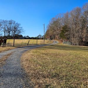Photo #5 of 3814 S Constitution, Dillwyn, VA 43.8 acres