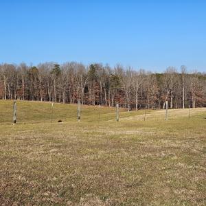 Photo #6 of 3814 S Constitution, Dillwyn, VA 43.8 acres