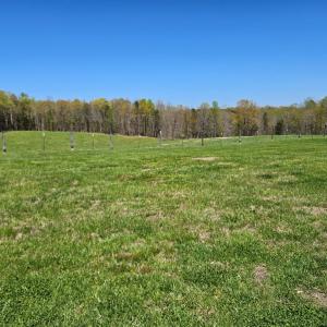 Photo #28 of 3814 S Constitution, Dillwyn, VA 43.8 acres