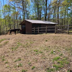 Photo #35 of 3814 S Constitution, Dillwyn, VA 43.8 acres