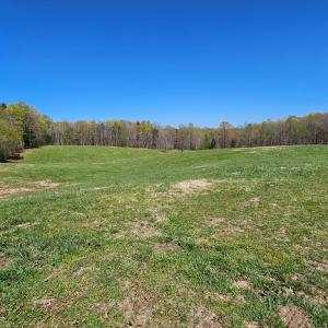 Photo #26 of 3814 S Constitution, Dillwyn, VA 43.8 acres