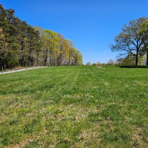 Photo #3 of 3814 S Constitution, Dillwyn, VA 43.8 acres