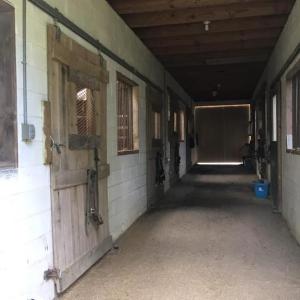 Photo #18 of 3151 Benchmark Trl, Amelia, VA 5.0 acres