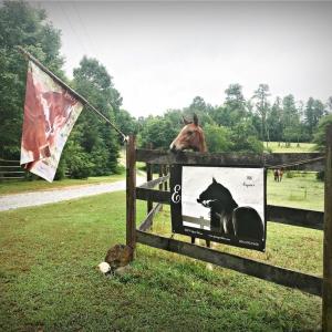 Photo #2 of 3151 Benchmark Trl, Amelia, VA 5.0 acres