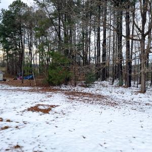 Photo #25 of 3867 Longview Dr, Kenbridge, VA 0.8 acres