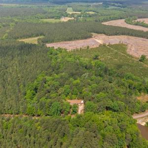 Photo #42 of 1920 Mill Quarter RD, Ford, VA 5.0 acres