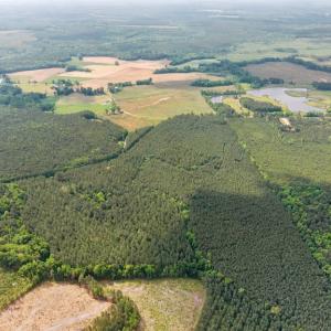 Photo #44 of 1920 Mill Quarter RD, Ford, VA 5.0 acres