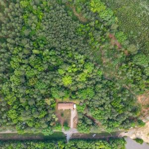 Photo #45 of 1920 Mill Quarter RD, Ford, VA 5.0 acres