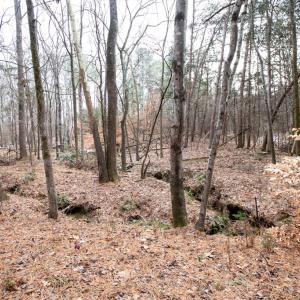 Photo #50 of 107 Cabells Court, Farmville, VA 0.4 acres