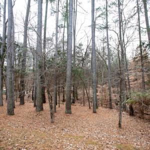 Photo #51 of 107 Cabells Court, Farmville, VA 0.4 acres