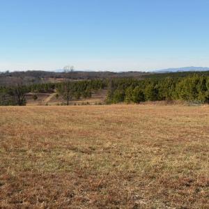 Photo #23 of 2779 Oakville Road, Appomattox, VA 14.5 acres