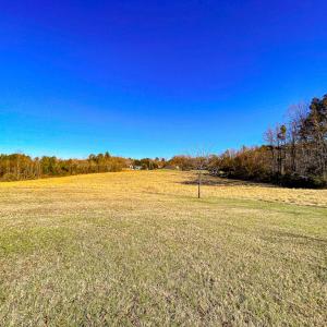 Photo #45 of 59 Taylor Farms Rd, Kenbridge, VA 8.7 acres