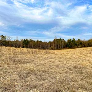 Photo #49 of 59 Taylor Farms Rd, Kenbridge, VA 8.7 acres