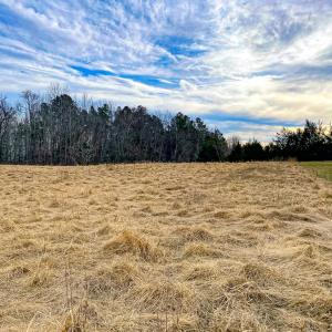 Photo #48 of 59 Taylor Farms Rd, Kenbridge, VA 8.7 acres