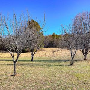 Photo #43 of 59 Taylor Farms Rd, Kenbridge, VA 8.7 acres