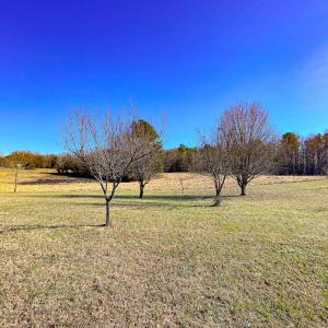 Photo #44 of 59 Taylor Farms Rd, Kenbridge, VA 8.7 acres