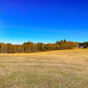 Photo #46 of 59 Taylor Farms Rd, Kenbridge, VA 8.7 acres